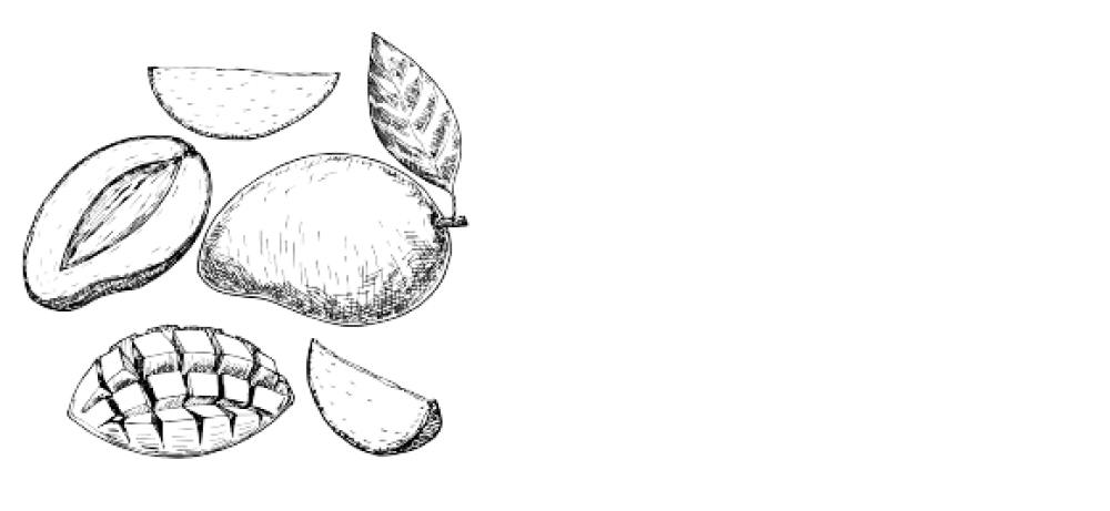 Are you looking for a digital marketing company in Salem that can help you achieve your online goals?